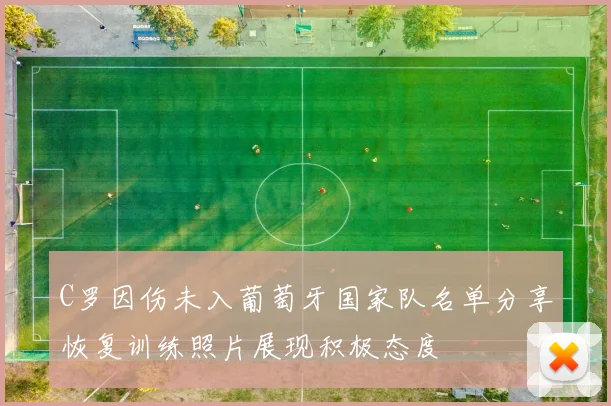 C罗因伤未入葡萄牙国家队名单分享恢复训练照片展现积极态度